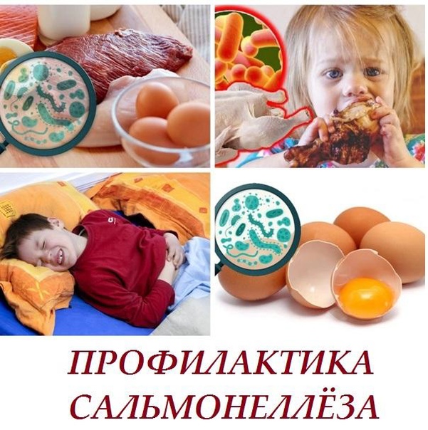 Сальмонеллез легче предупредить