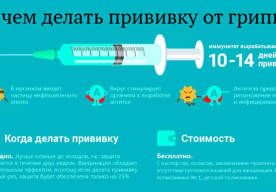 Рекомендации по вакцинации против гриппа групп риска (беременные, дети, лица с хроническими заболеваниями и др.)